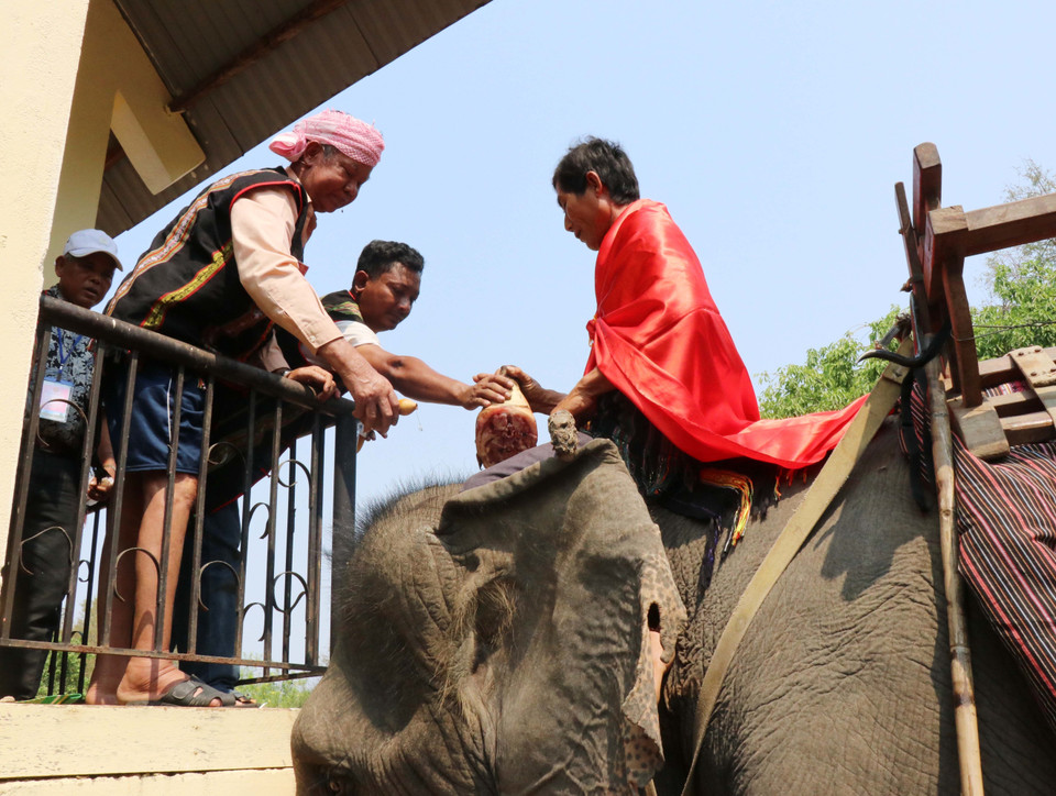 主祭人念祭文，祈求老天赋予大象健康平安。越通社记者俊英 摄
