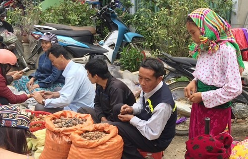 （图片来源：人民军队报）