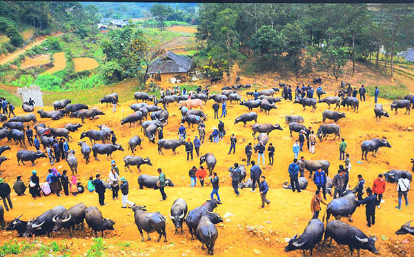 黎玉辉的作品《干沟水牛市场》。（图片来源：越共电子报）