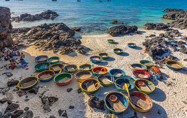  阮何芳的作品《生活色彩》。（图片来源：越共电子报）