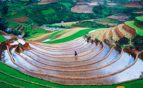 杜黄河的作品《河江黄树肥Luốc村》。（图片来源：越共电子报）
