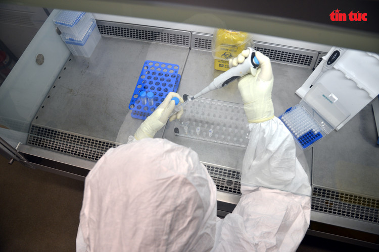 一辆移动检测车每天可检测400个样本。图自越通社