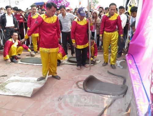 陈祠庙会期间举行的民间游戏。（图片来源：越通社）
