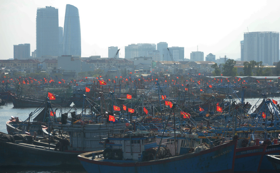 渔船都换上了新国旗，准备在新的一年启航。 图自越通社