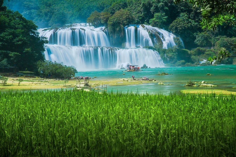 板约瀑布。（图片来源：越通社）