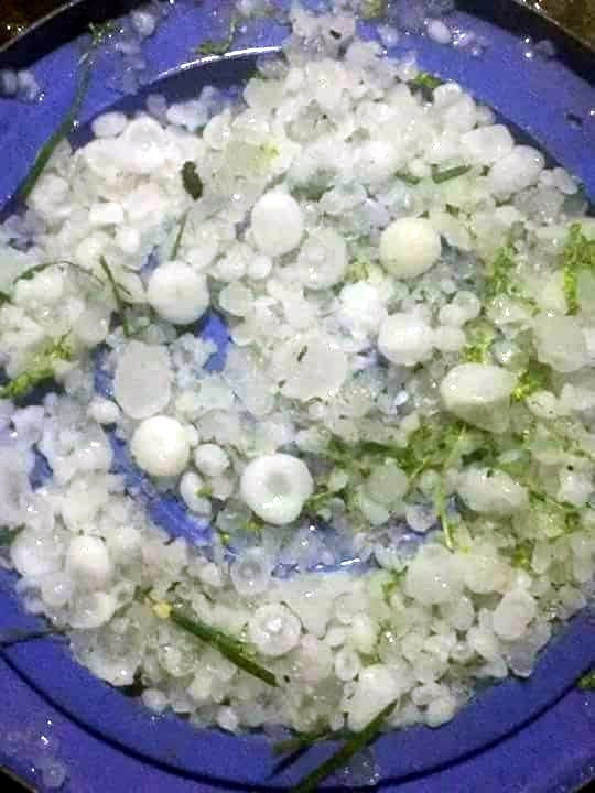 鸡蛋大小的冰雹。（图片来源：越通社）
