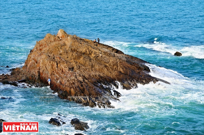 据考察，礁石的年龄超过其他地方的古老岩石，历史悠久。（图片来源：越南画报）