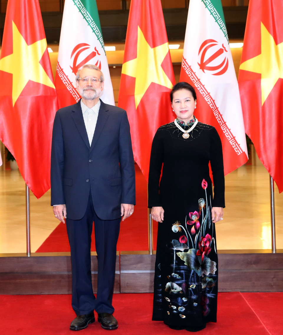 越南国会主席阮氏金银与伊朗伊斯兰共和国议会议长阿里•拉里贾尼。越通社记者 仲德 摄