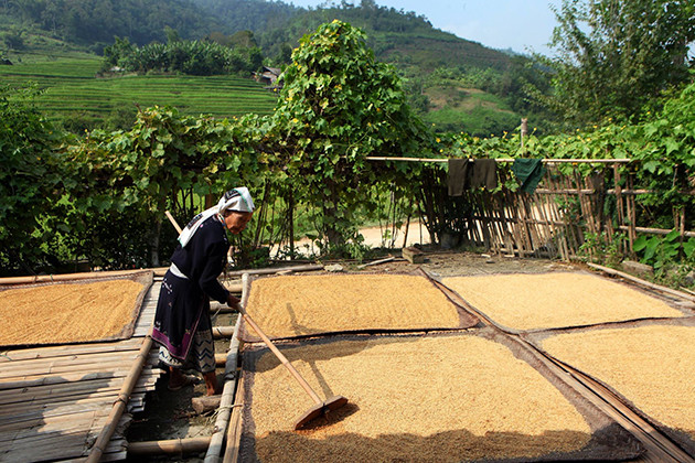 当地人民、儿童的日常生活。（图片来源：越南《人民报》）