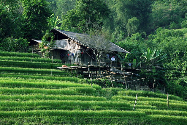 建在半山腰上的房子。（图片来源：越南《人民报》）