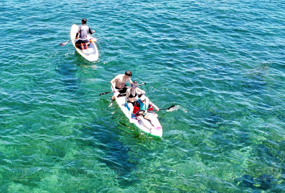 晴天的时候，奇窝海滩的海水清澈见底。图自越南画报
