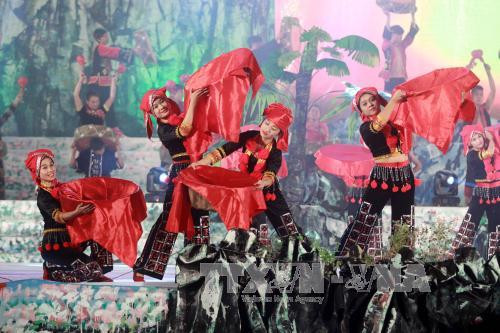 题为“岩石高原——万花争艳”的艺术晚会。（图片来源：越通社）
