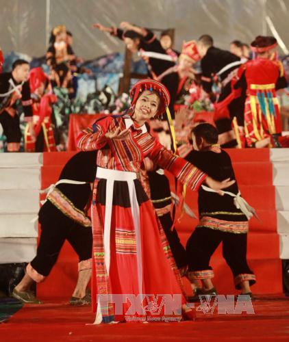 题为“岩石高原——万花争艳”的艺术晚会。（图片来源：越通社）