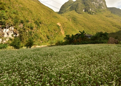 花卉路美化山区（图片来源：人民军队报）