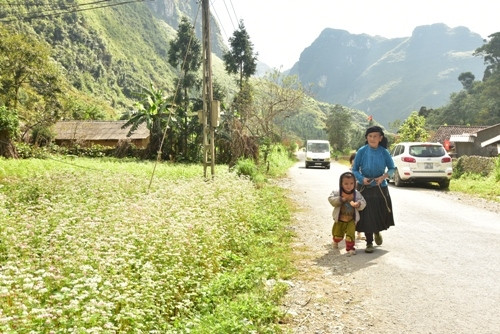 花卉路美化山区（图片来源：人民军队报）