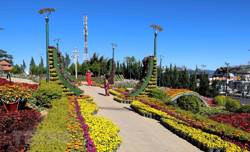 大乐市公共场所百花绽放的美景。（图自越通社）