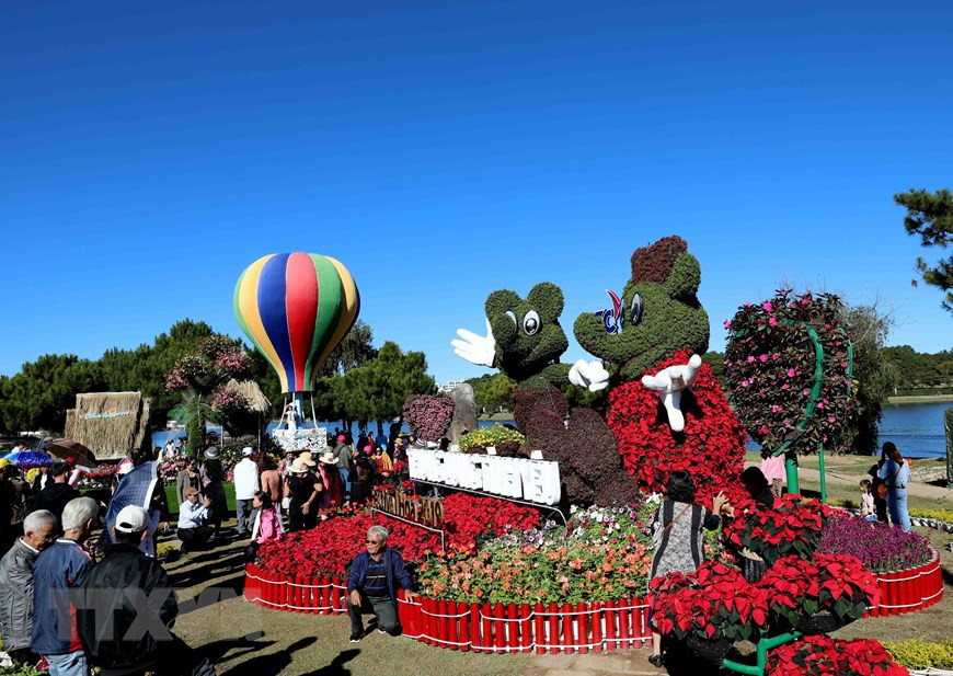 花卉节不仅弘扬花卉和花卉产业的价值，推广林同大叻旅游品牌，而且还给当地经济带来积极影响。（图自越通社）