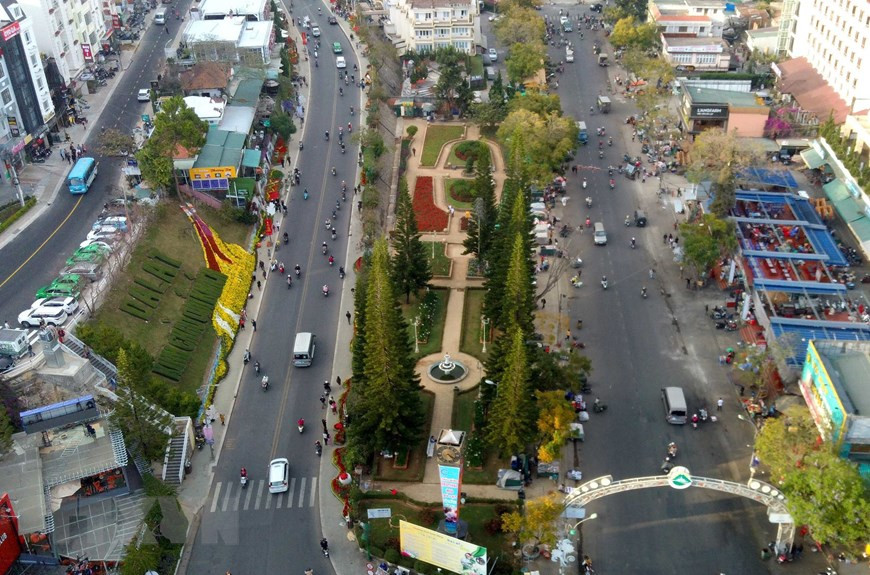 每隔两年，林同省大叻市都会吸引大批游客前来观赏大叻花卉节上盛开的缤纷多彩的花卉。（图自越通社）
