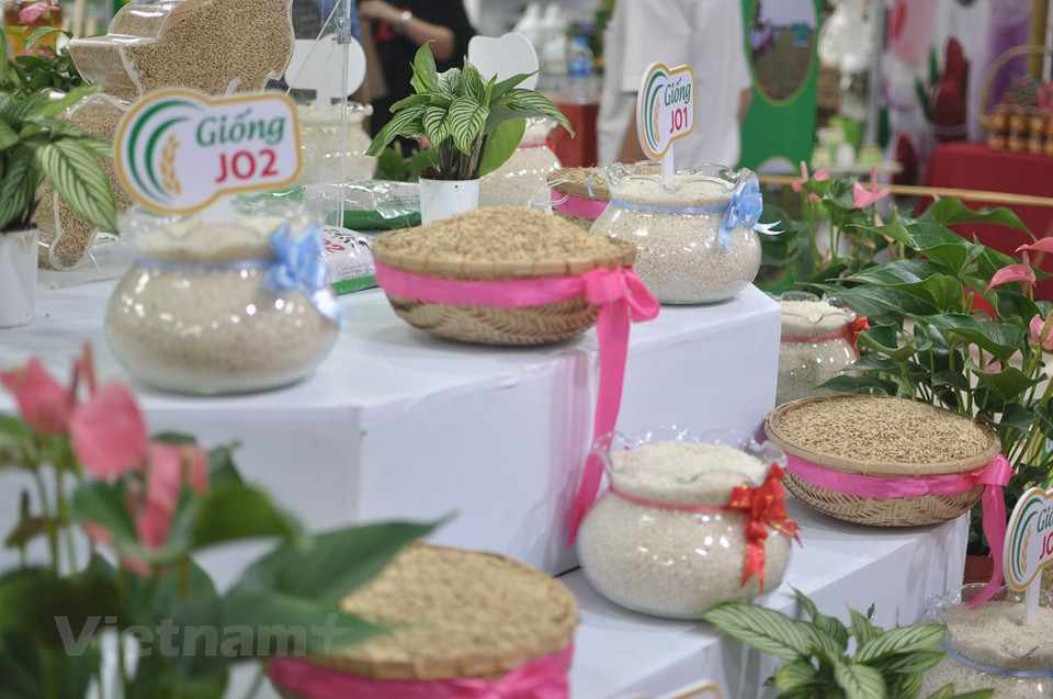 展会为参观者介绍多种优质大米产品。越通社记者 越德 摄