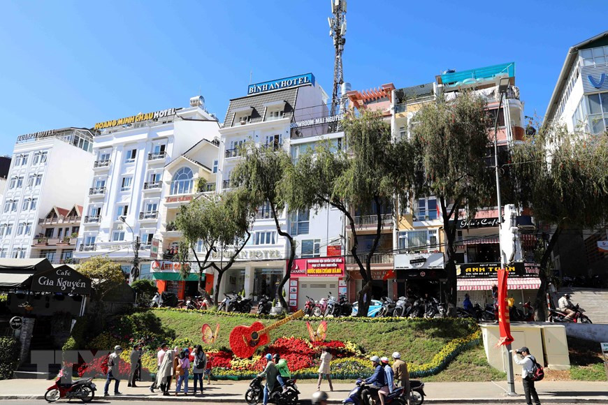 许多独特的花卉空间将吸引大量游客前来欣赏。（图自越通社）