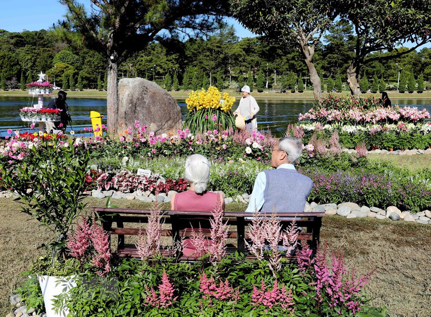 大乐花卉节的举办有助打造大乐市的旅游品牌。（图自越通社）