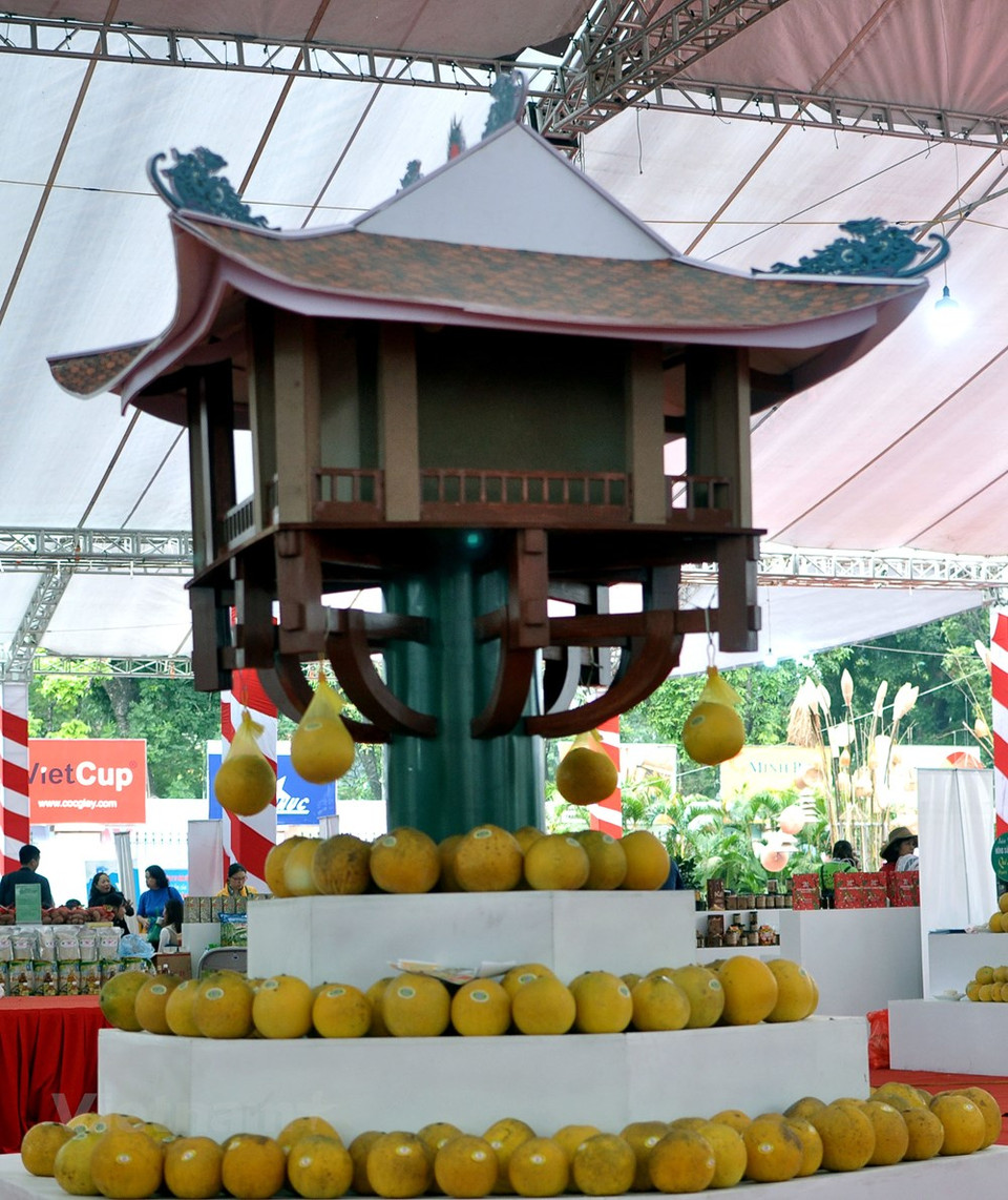 展会上所展示的柚子产品。越通社记者 越德 摄