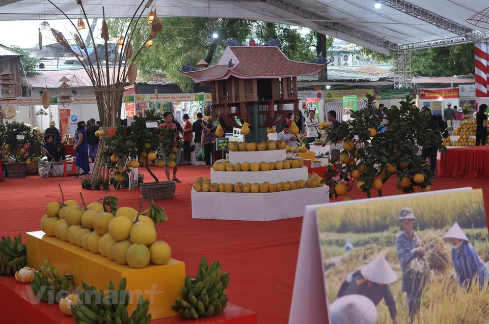展会上所展示的柚子产品。越通社记者 越德 摄