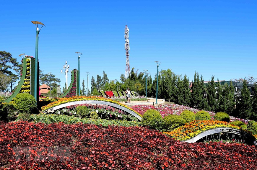 花卉节每两年举办一次，一向是当地居民和游客期盼的活动。（图自越通社）