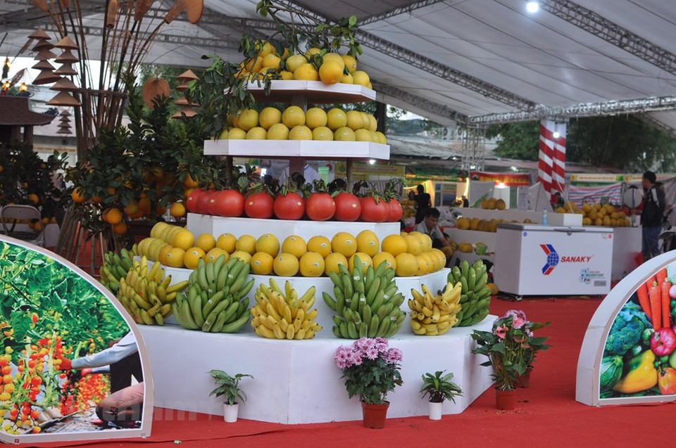 2019年河内传统手工艺村和农产品展销会从12月14日至17日举行。越通社记者 越德 摄