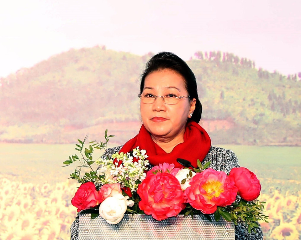 国会主席阮氏金银发表讲话。图自越通社