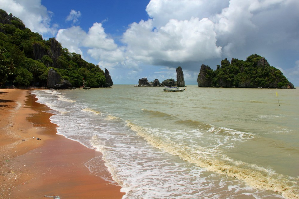 （图片来源：越通社） （完）