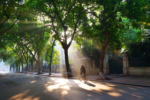 潘廷逢路是河内首都绿色成荫、充满诗意的道路之一。（图片来源：人民军队报网）