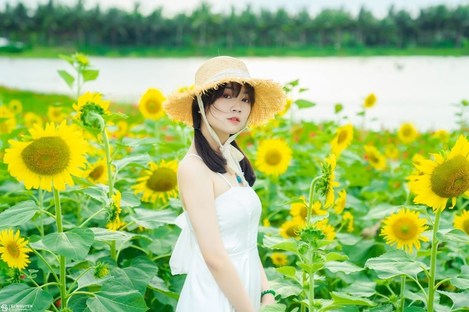 在灿烂的花海呼吸清新的空气，让人身心舒适心旷神怡，把喧闹的城市抛在身后。图自 VIETNAM+