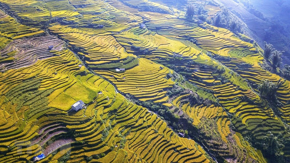 由于位于高达2000米的山谷，因此对喜欢欣赏梯田美景的游客们来说，这里确实是理想的旅游目的地。越通社记者 成达 摄
