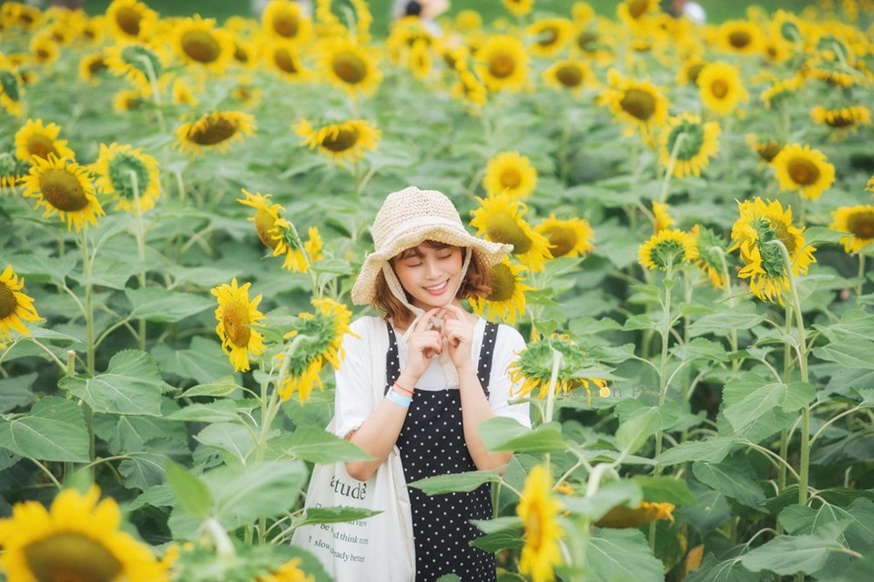 距离河内是中心约20分钟开车，ECOPARK都市区被视为‘摄影天堂’。图自 VIETNAM+