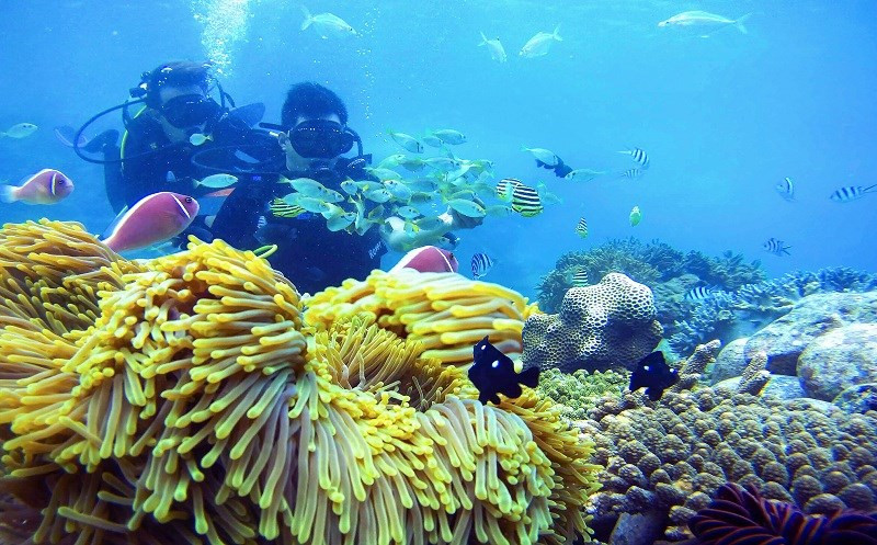 阮进勇摄影师的‘沉浸于大自然’摄影作品荣获优秀奖。图自 VIETNAM+