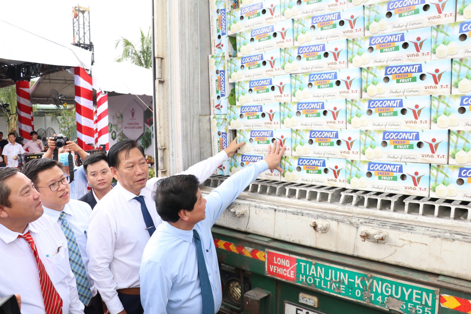 越南根据《越南欧盟自由贸易协定》向欧洲市场出口首批水果的公布仪式2020年9月17日举行。据此，越南向德国出口12吨柚子。图中：代表们对即将出口的货物进行检查。越通社记者 黄福后 摄