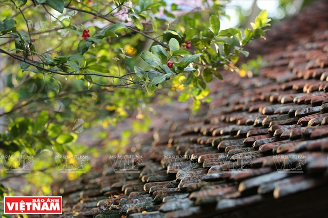 这座古建筑于1649年建设，占地面积100平方米，具有400年历史。（图片来源：越南画报）