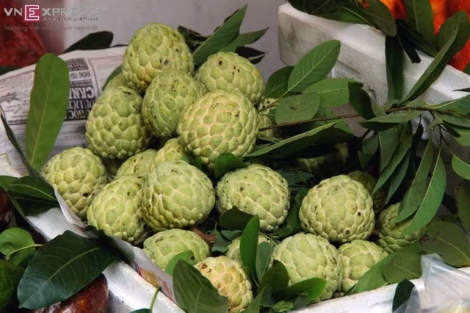 番荔枝（图片来源：vnexpress.net）