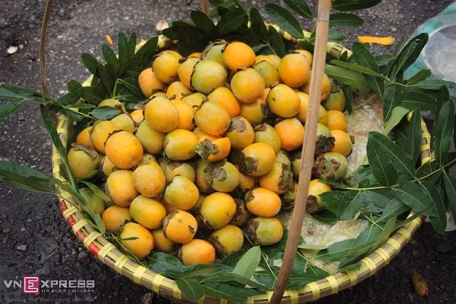 柿子是中秋供月不可缺少的果实（图片来源：vnexpress.net）