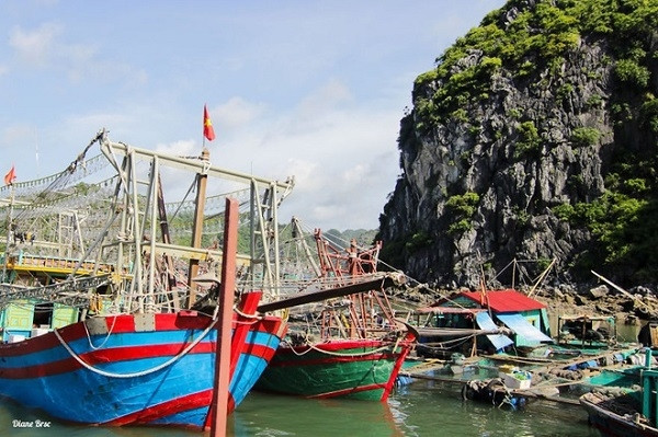 渔船在海防吉婆岛抛锚。（图片来源：越南快讯网）