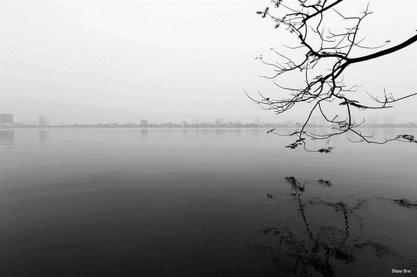 冬天的西湖。（图片来源：越南快讯网）