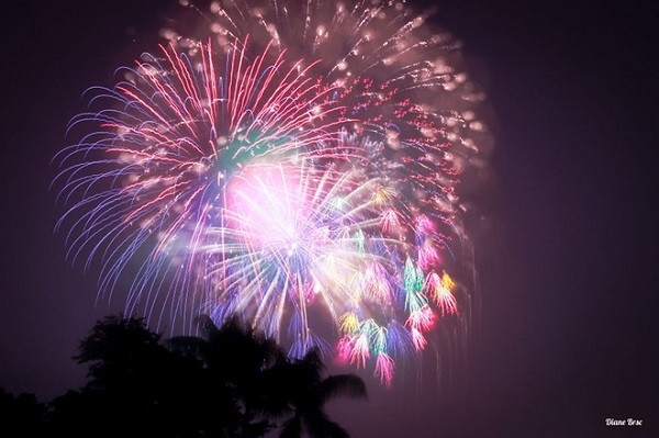 国家重要节日里的烟花。（图片来源：越南快讯网）