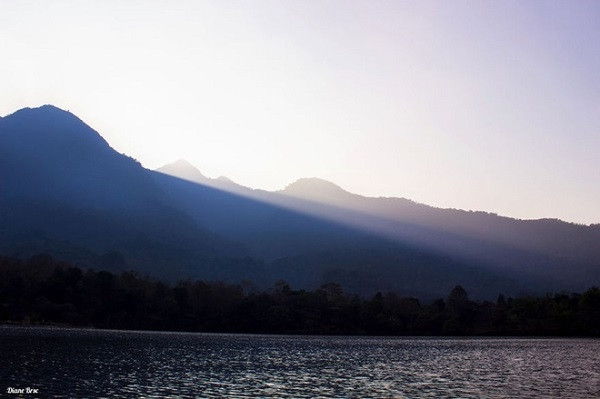 河内市巴维自然风景。（图片来源：越南快讯网）