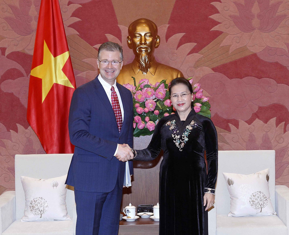 1月9日上午，越南国会主席阮氏金银会见前来礼节性拜访的美国新任驻越南大使丹尼尔·克里滕布林克（Daniel Kritenbrink）。越通社记者 文碟 摄