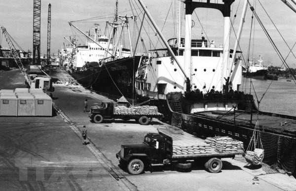 1988年4月5日，越共中央政治局颁发关于农业经济管理革新的10号决议。该决议实施1年后，越南从一个缺乏粮食的国家发展成为出口100多万吨大米的国家。图片来源：越通社