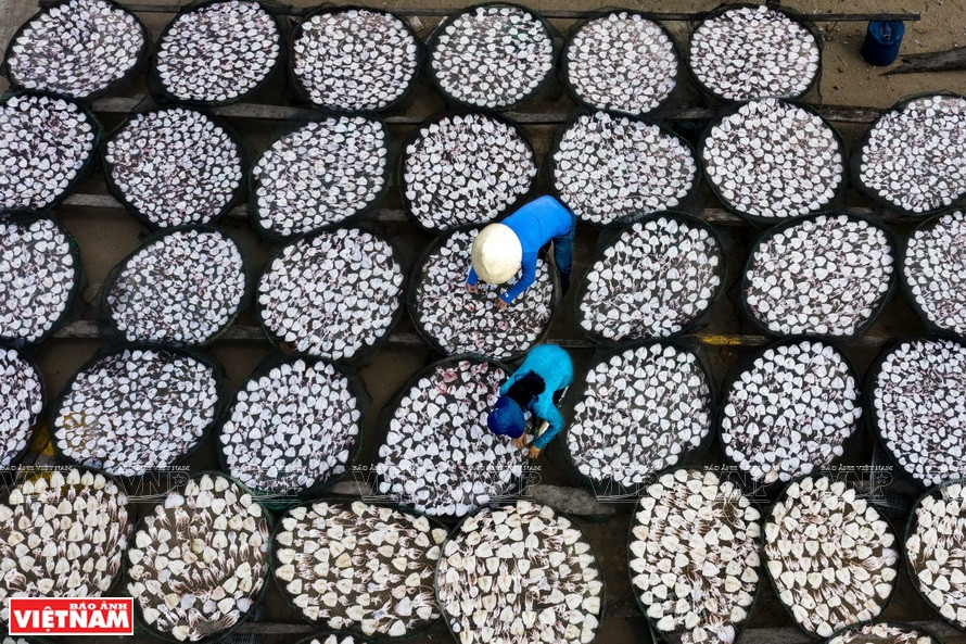 德普市沙黄乡水产干制品加工。图片来源：越通社