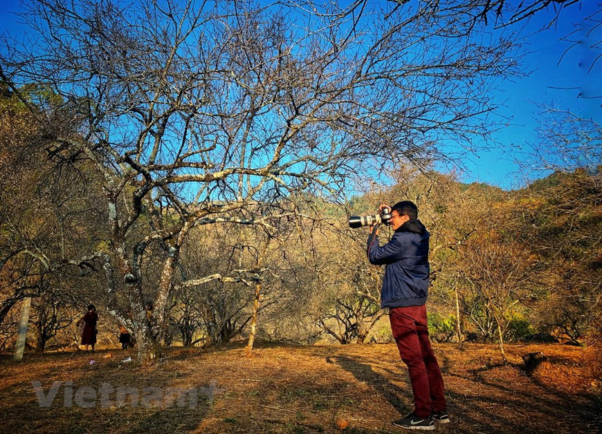 西北地区自然风光一直颇受众多摄影师的青睐。图片来源：越通社