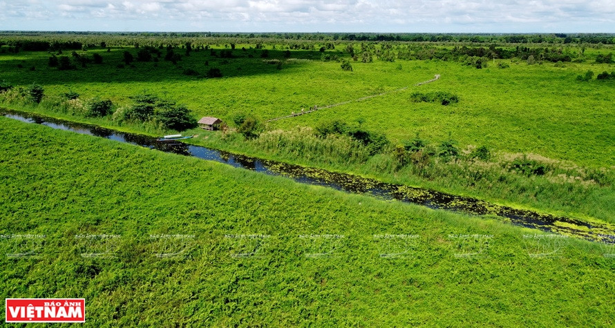 幽冥上国家公园拥有丰富多样的动植物体系。图片来源：越通社