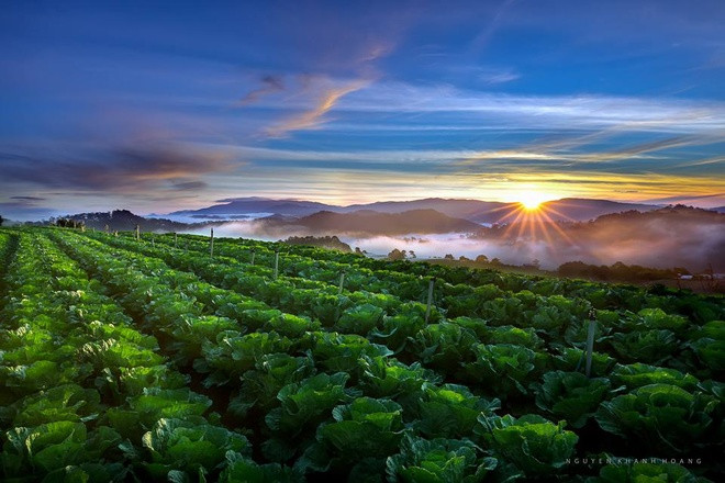 海拔1500米的大叻全年气候凉爽宜人，是理想的度假胜地。（图片来源：越南快讯报）